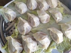 -8号蒸饺精品炖鸽子(康特商街店)