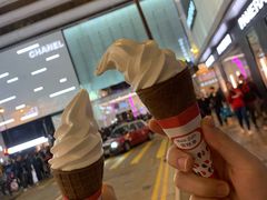 -富豪雪糕车流动点(尖沙咀店)