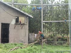 -合肥野生动物园