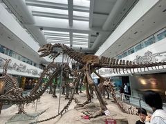 -中国地质大学逸夫博物馆