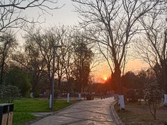 -花溪公园