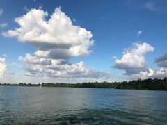-河川生态园
