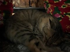 -在路上酒吧(大理古城店)