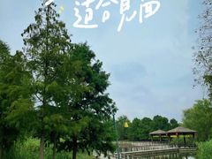 -同里国家湿地公园
