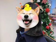 -壹盏灯(惠农店)
