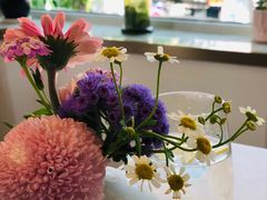 -蝶舍·MAISON PAPILLON