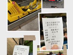 -上海共青森林公园