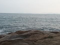 -玫瑰海岸文化旅游度假区