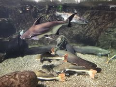 -太平洋海底世界