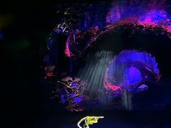 -水秀国际大剧院