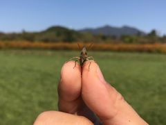 -北京东方普罗旺斯薰衣草庄园