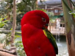 -南宫五洲植物乐园