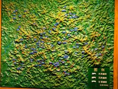 -中国庆元廊桥博物馆