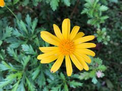 -重庆中央公园(渝北区)