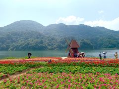 -广州市石门国家森林公园