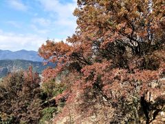 -广州市石门国家森林公园
