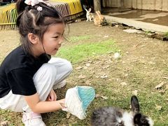 -苏州太湖西山岛开心农场