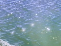 -鄱阳湖国家湿地公园