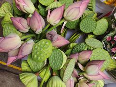 -循礼门鲜花花市(武汉循礼门店)