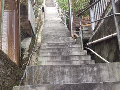 -鲤鱼塘农家山庄