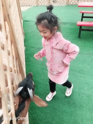 -萌宠亲子动物乐园(槐房万达店)