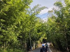 -广州市帽峰山景区