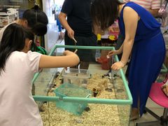 -钓仓鼠(洋桥北里小区店)