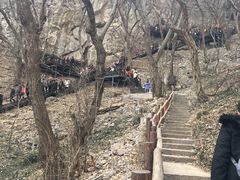 -皇藏峪国家森林公园