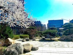 -保定金沙芝柏婚礼策划