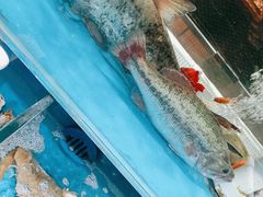 -颐千海味渔小馆(大三元街店)