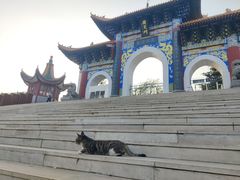 -抱犊寨风景区