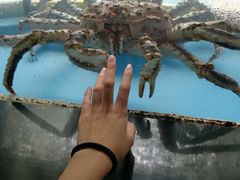 -蟹后Crabber(水悦城店)