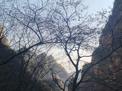 -狼牙山风景区