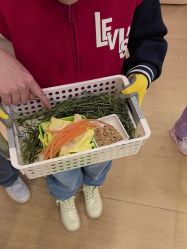 -小象动悟公园(龙湖亦庄天街店)