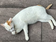 -晓港公园