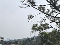 -鸿山公园