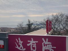 -信号山公园