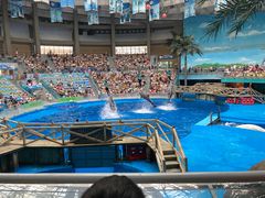 -海合安成都极地海洋公园