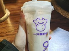 -一只酸奶牛(八一路店)