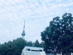 -食膳公园包子铺(烈士公园店)