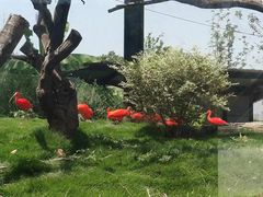 -武汉动物园