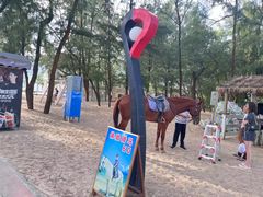 -玫瑰海岸文化旅游度假区