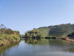 -龙坞茶村