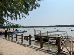 -上海海湾国家森林公园