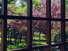 -石家庄市植物园