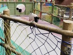 -广州融创文旅城