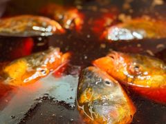 -忘情水鱼头·鲜鱼火锅(滨江中路店)