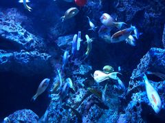 -成都浩海立方海洋公园