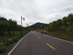 -习家池