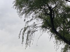 -什刹海